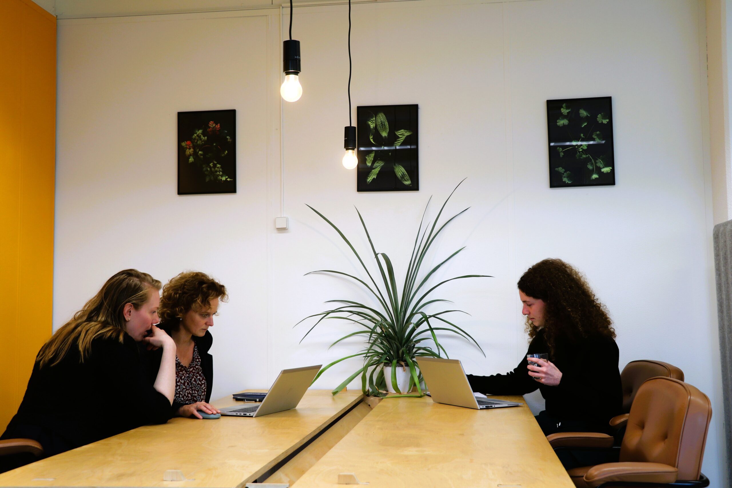 Foto van drie werknemers aan tafel die werken achter hun laptop.